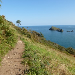 Dart 10k Swim and Devon Camping Holiday 2015